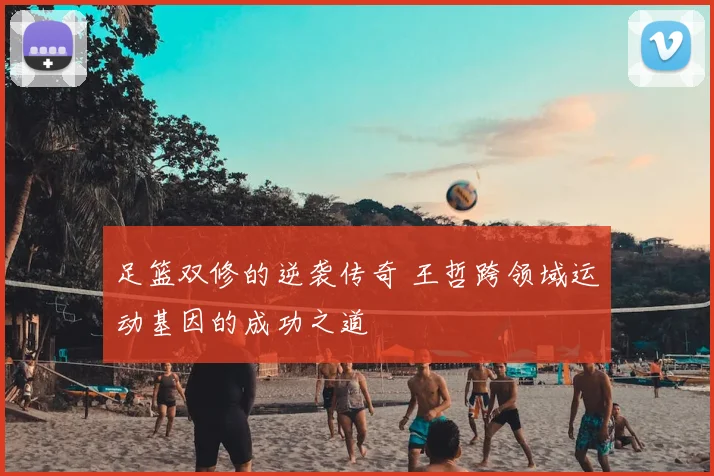 足篮双修的逆袭传奇 王哲跨领域运动基因的成功之道