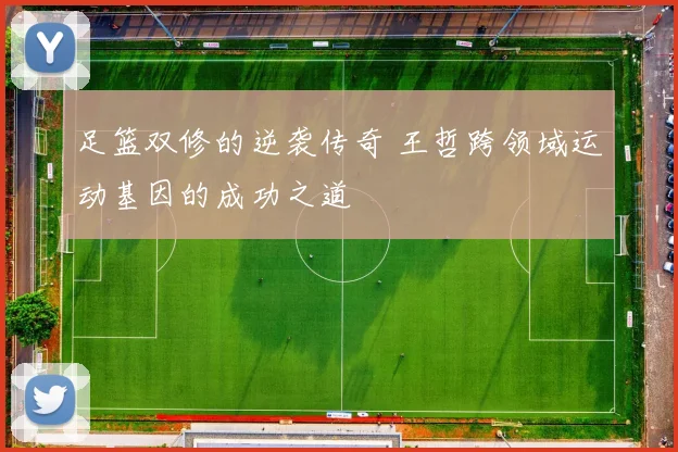 足篮双修的逆袭传奇 王哲跨领域运动基因的成功之道