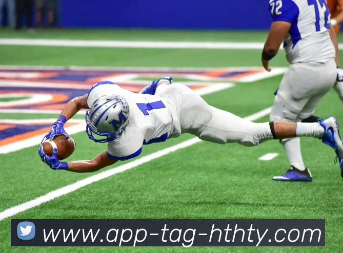 App Interface Preview